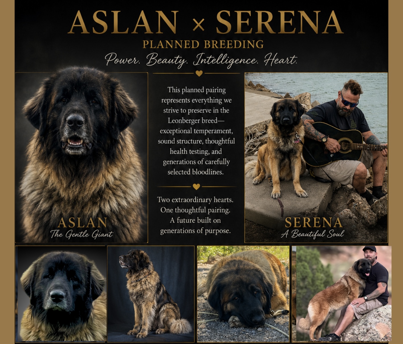 FALL/WINTER 2026 Serena & Aslan