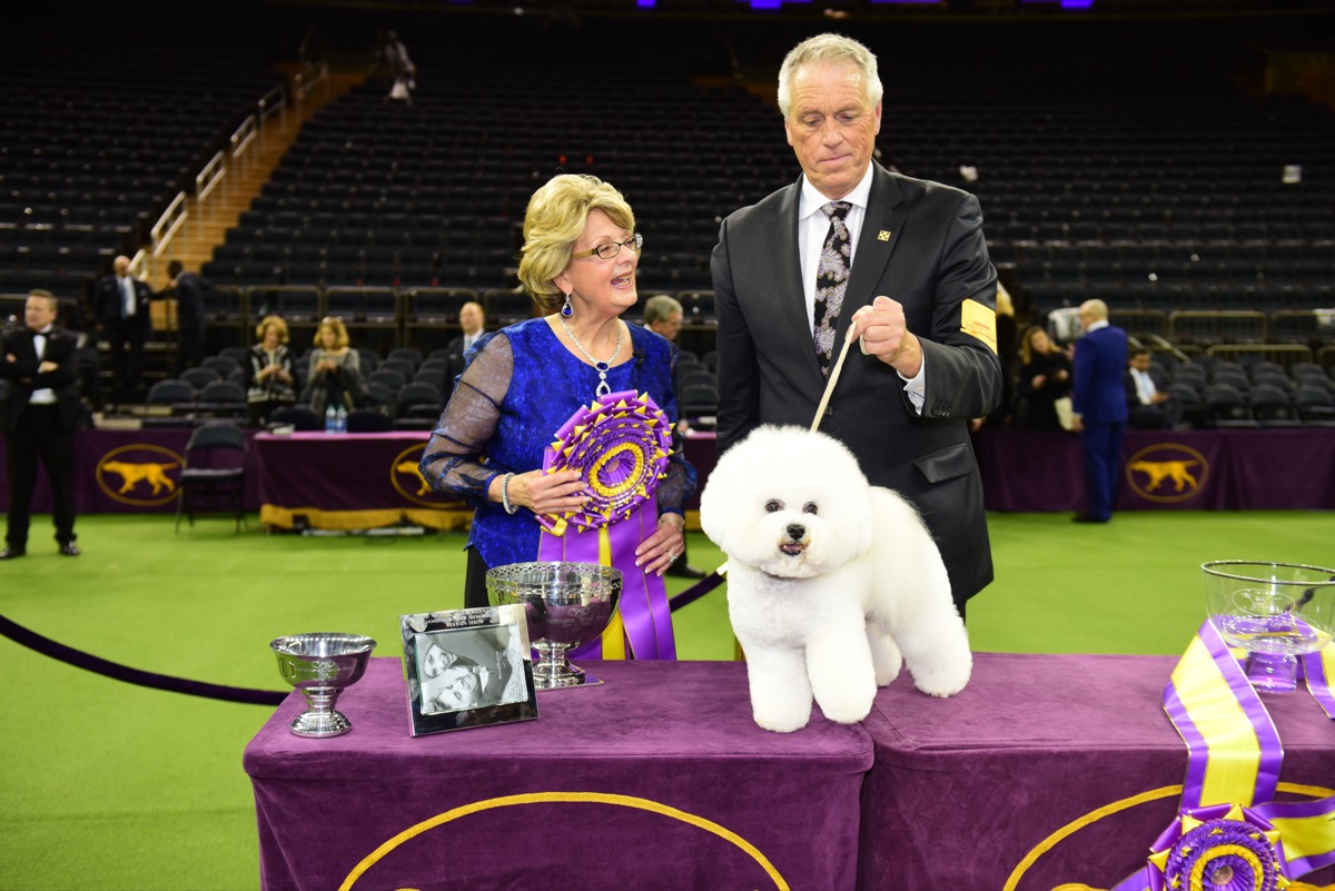 10 Questions Every Puppy Buyer Must Ask