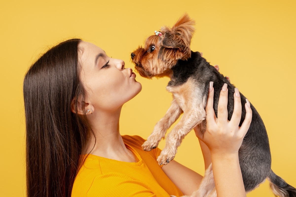 The Rise of Service Dogs: Training Trends Shaping 2026