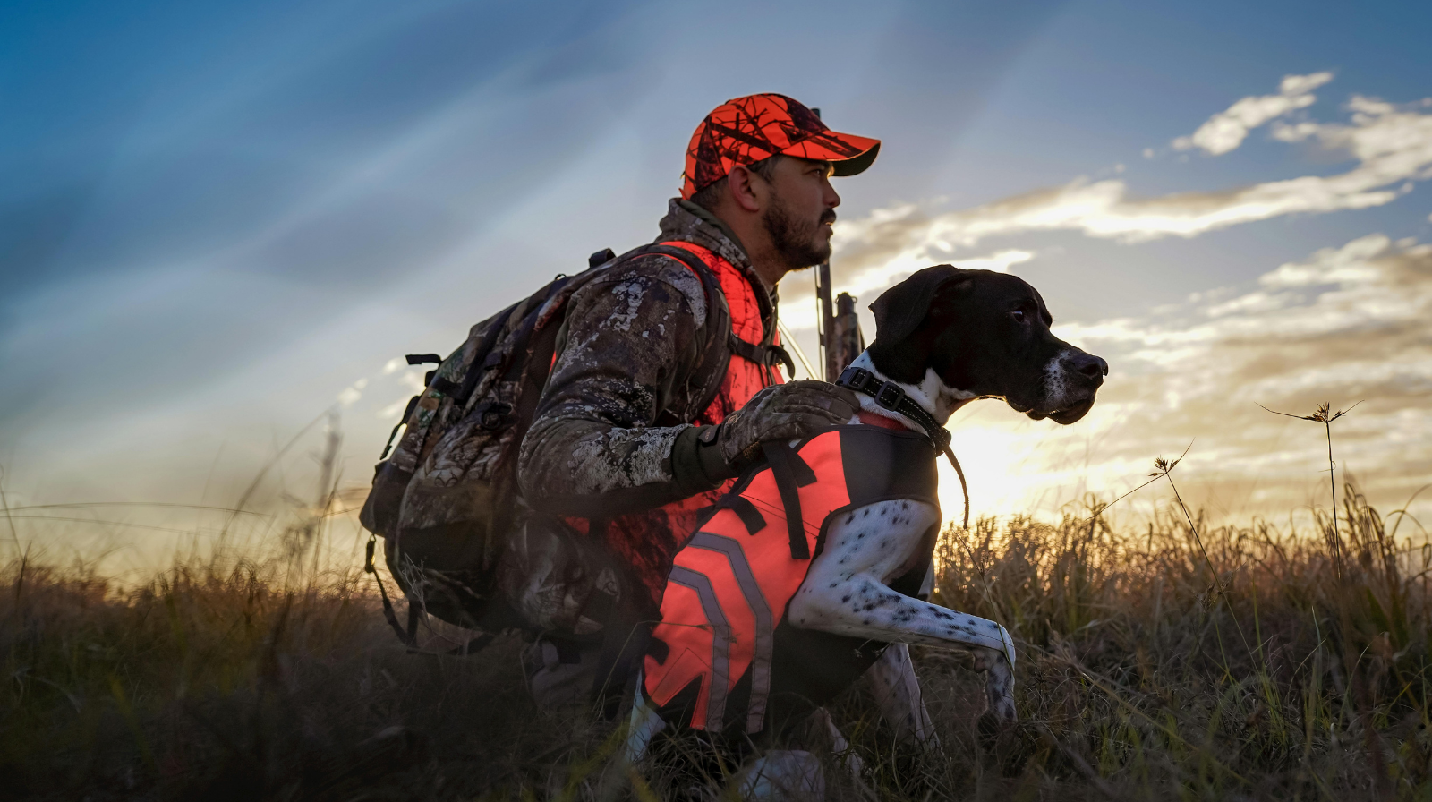 Hunting dog — pointer with handler at sunset